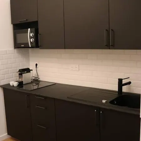 Joli T2 Proche De Bellecour Apartman Lyon
